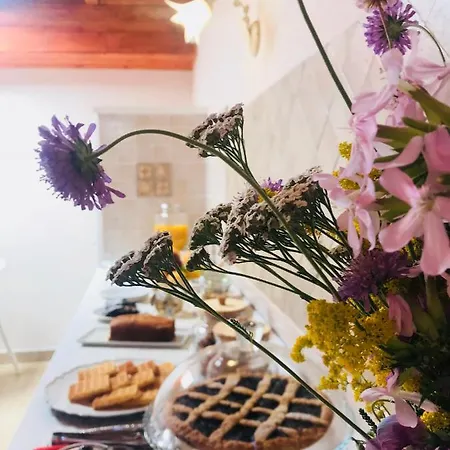 Bed and breakfast Red Village