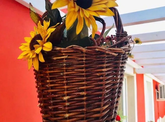 Red Village Кьети