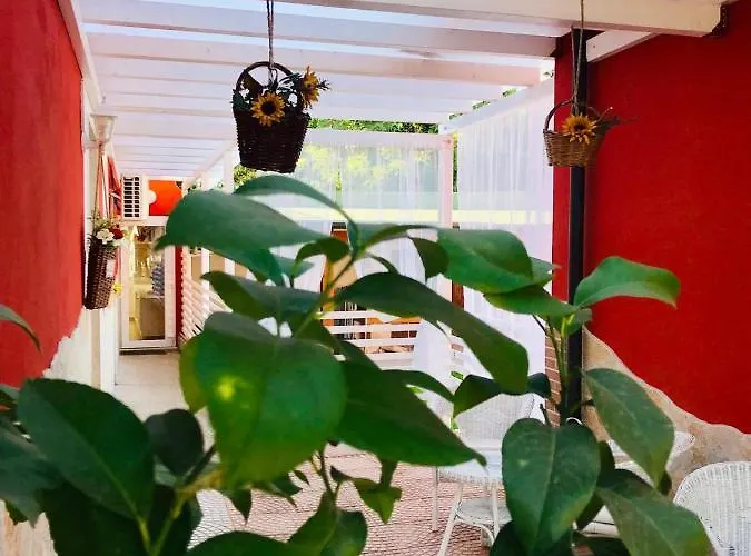 Red Village Кьети